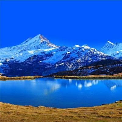 万博全站(Manbetx)截图