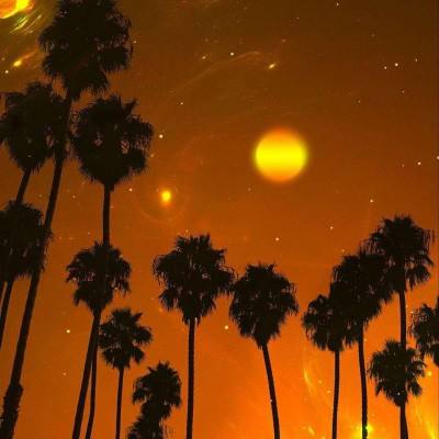 风云体育app官网入口